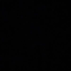 Meet your Posher, Evelyn